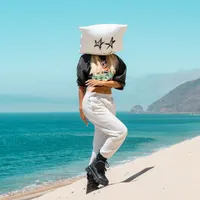 Pillows