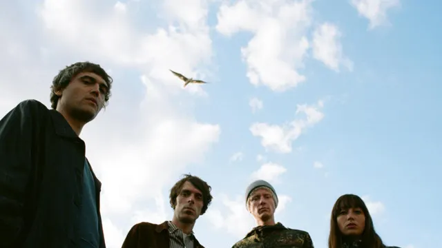 The Proper Ornaments + Dorian Pimpernel