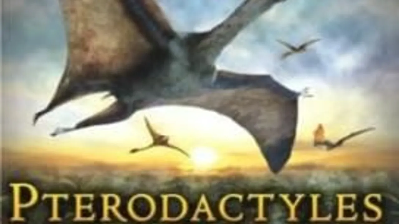 Film + Cité : Pterodactyles & Explora