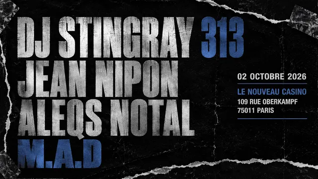 DJ Stingray 313
