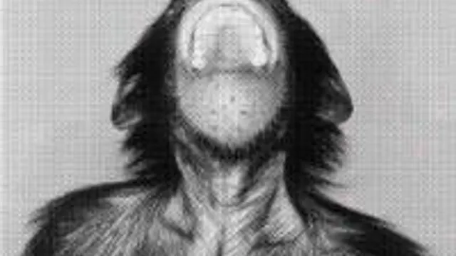 Soul Monkey