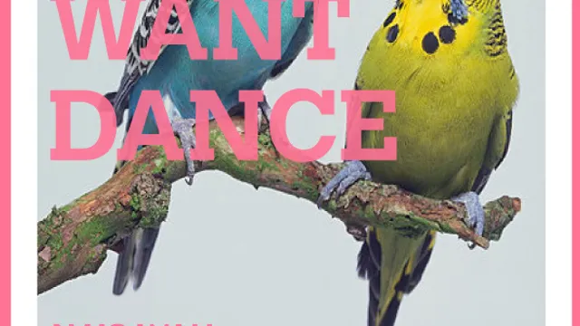 We Want Dance : Na'Sayah - Phil Dark -Tito