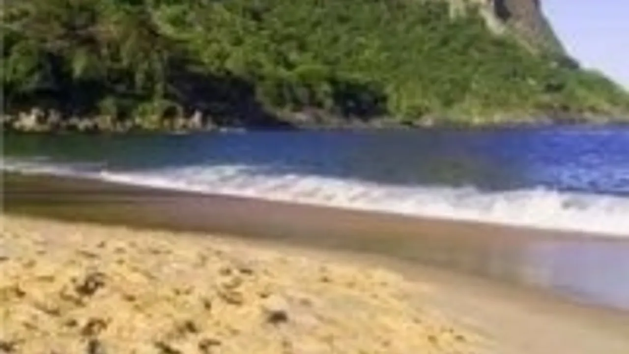 Samba Partido !!