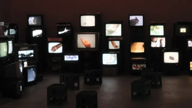 Douglas Gordon - Pretty Much every film and video work from about 1992 until now