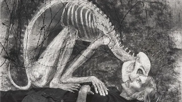 Roger Ballen et Hans Lemmen, Unleashed