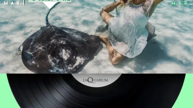 L'Aquarium Restaurant et Club avec Jérémy Donaccia