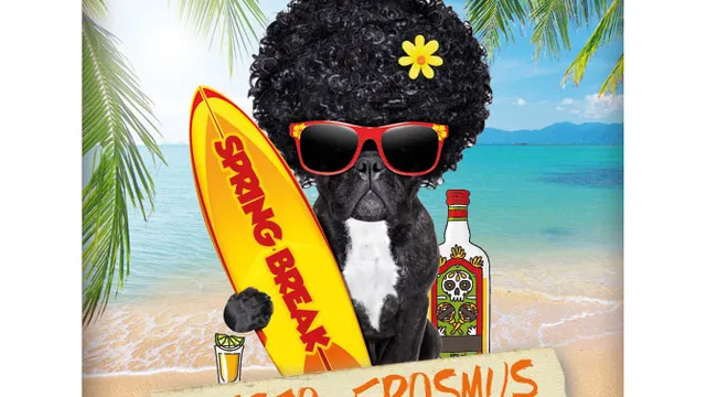 SPRING BREAK PARTY