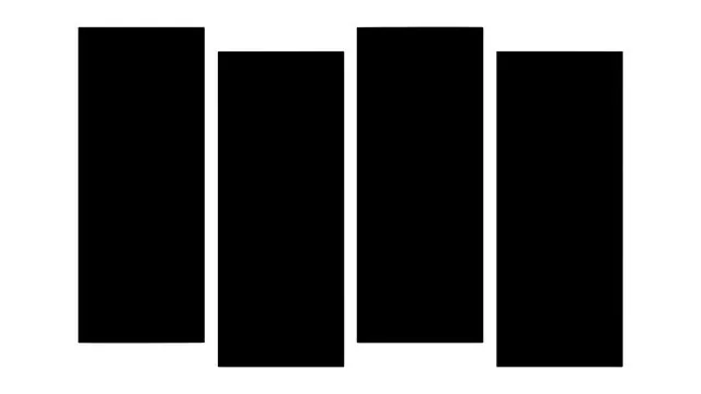 Black Flag + Guest 