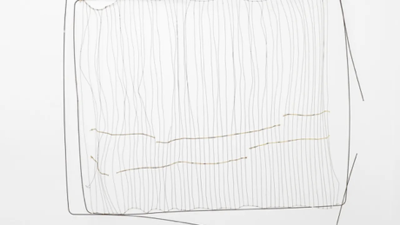 Expositions personnelles de Bronwyn Katz et Julieta Garcia Vazquez, résidentes SAM Art Projects 2018