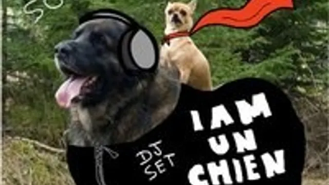 I AM UN CHIEN EN DJ SET