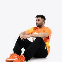 Karonik