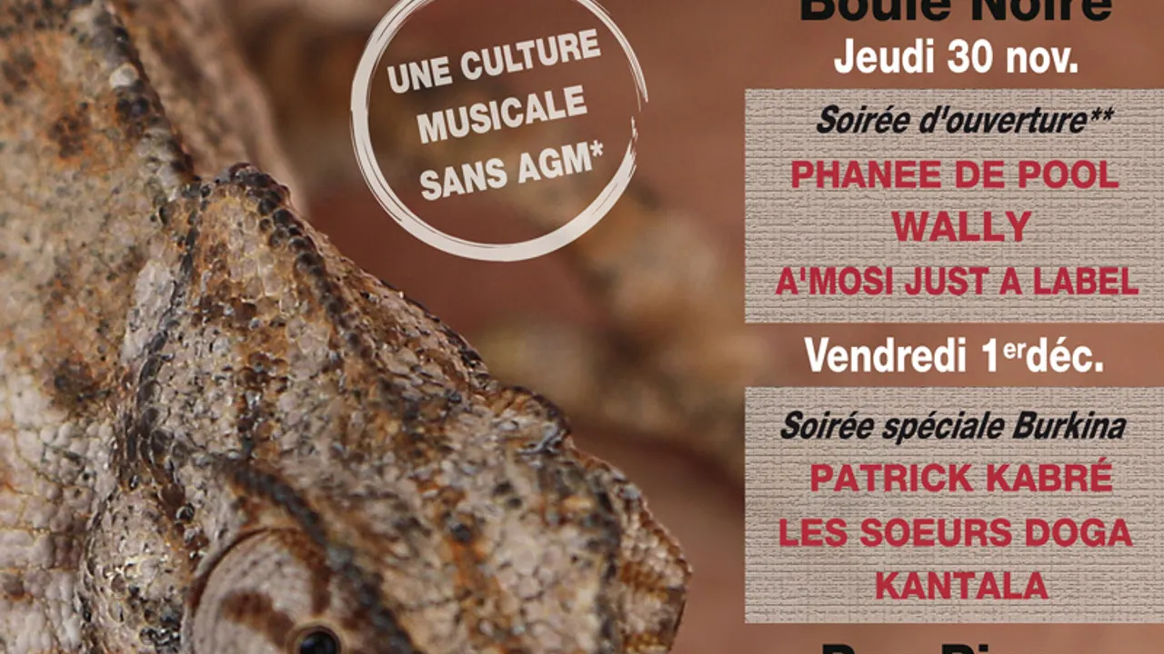 Only French Festival (Dakar by night)