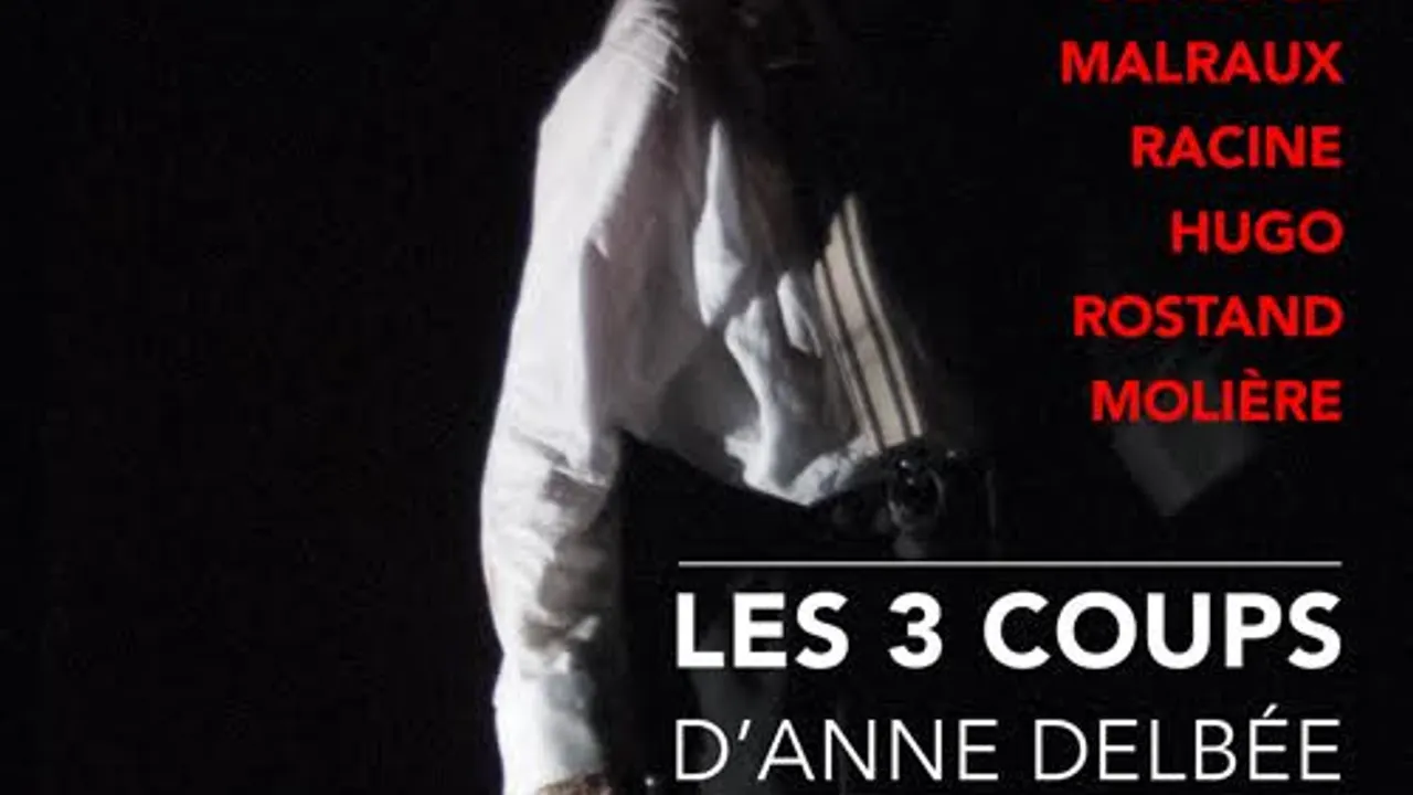 LES 3 COUPS D'ANNE DELBEE