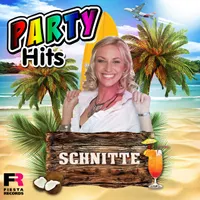 Schnitte