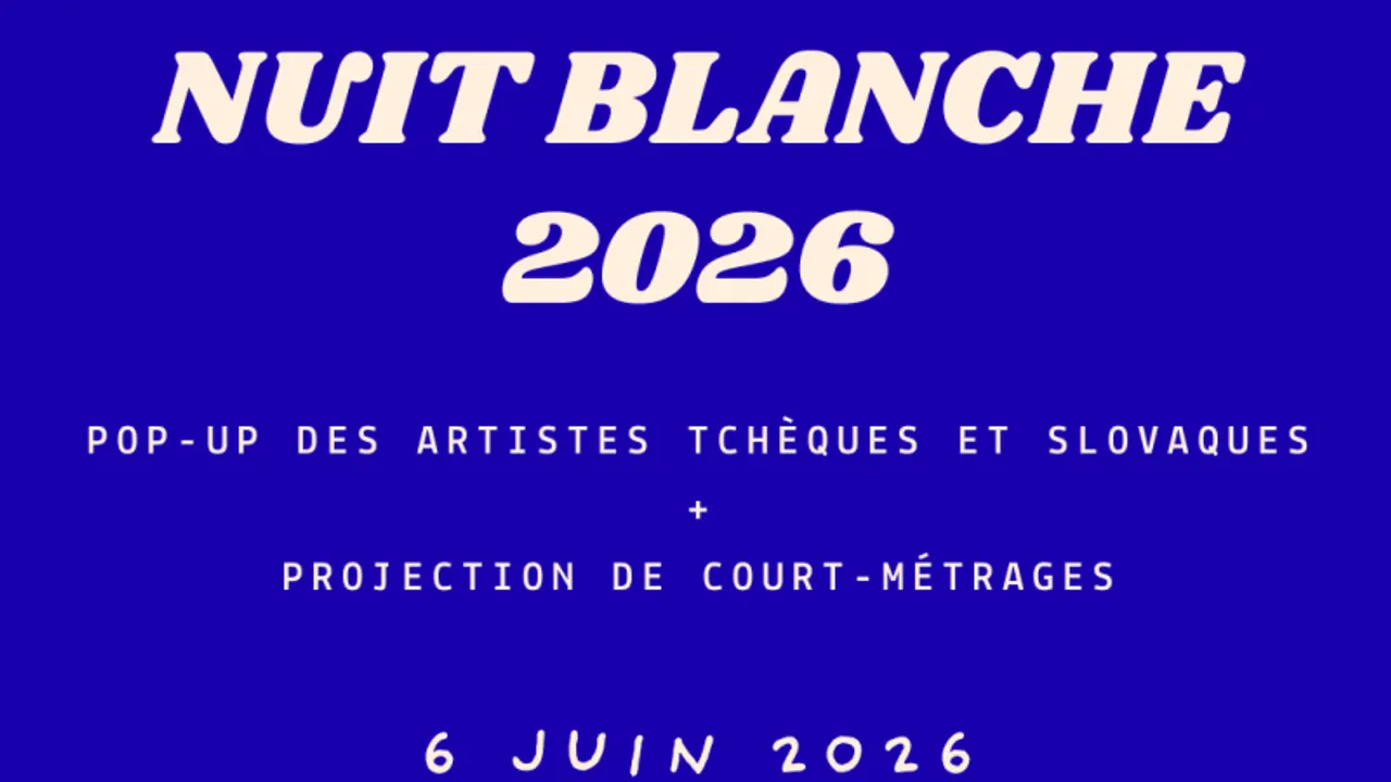 Nuit Blanche au Centre tchèque de Paris