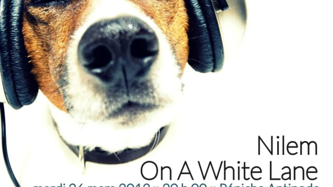 Nilem - On A White Lane