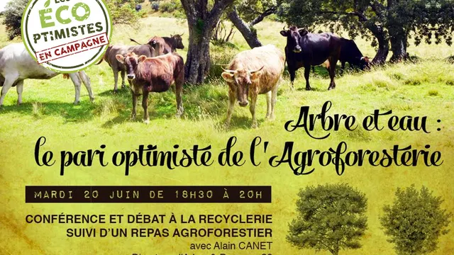 Arbre et eau : le pari optimiste de l'Agroforesterie
