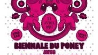 La Biennale Du Poney