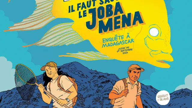 Il faut sauver le Joba Mena : enquête à Madagascar