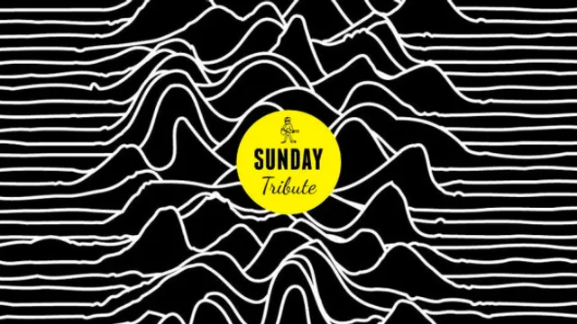 Sunday Tribute // Joy Division