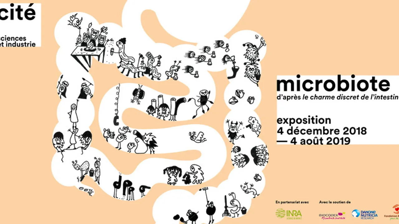 Microbiote, d'après « Le charme discret de l'intestin »