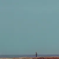 Mid-Air Thief