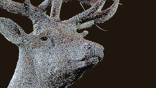 Exposition Les Chasses Nouvelles - Julien Salaud