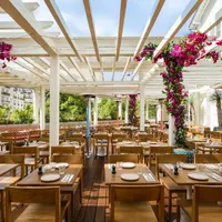 Brasserie Auteuil