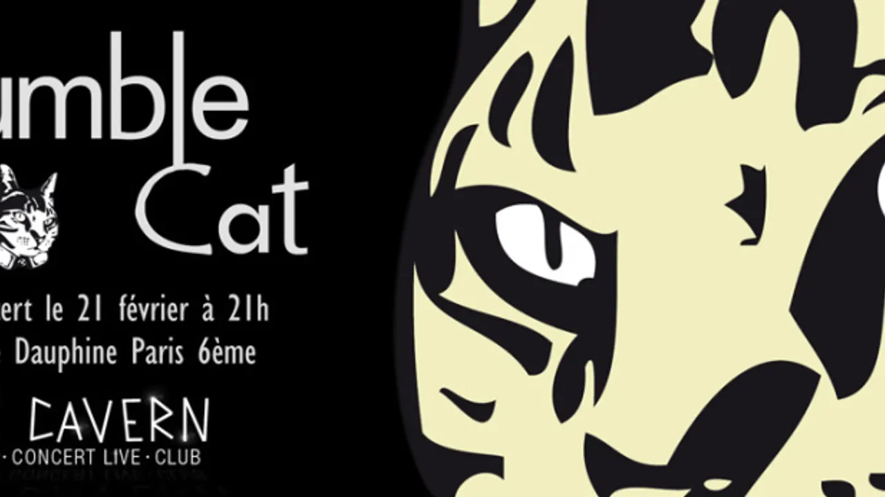Rumble Cat en concert au Cavern