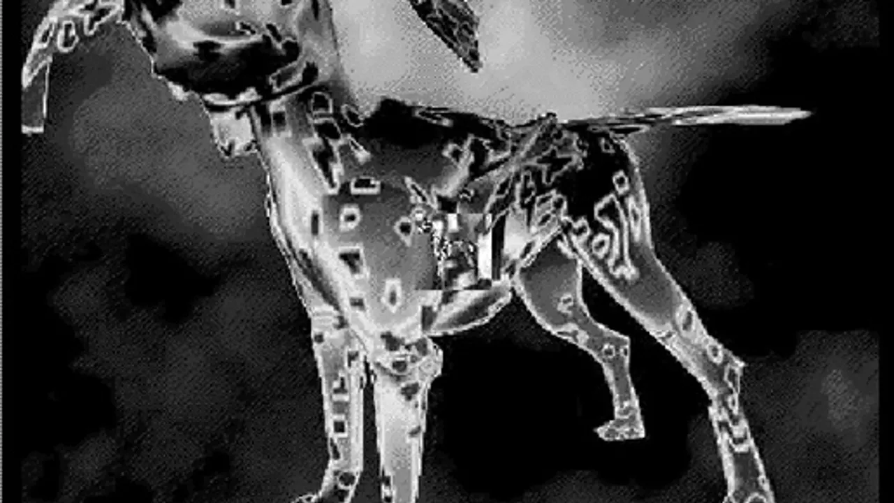 Les 1-0-1 Dalmatiens