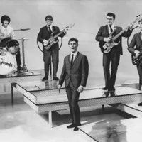 The Honeycombs