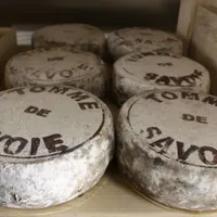 Maison de Savoie
