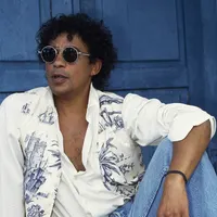 Laurent Voulzy en Concert - Tournée