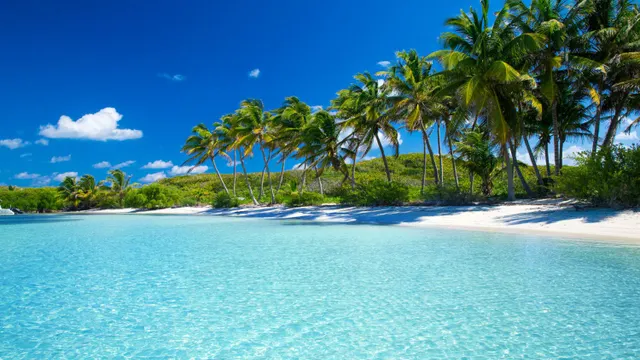 Jeudi caraïbes : Ikearibbean Jazz + DJ Ti-Feu