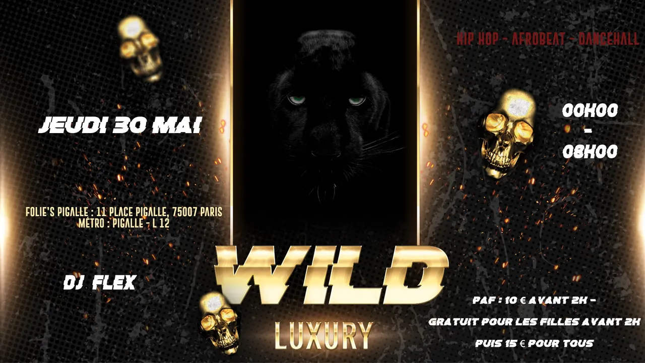 LuXURY PARTY