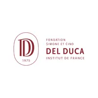 Fondation Simone et Cino Del Duca
