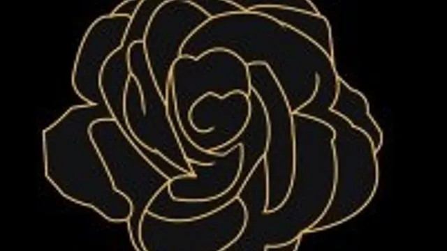 Rose Noire Evenements