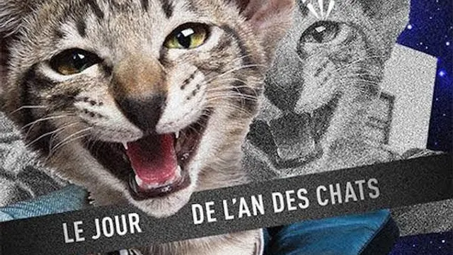 Fantasc - Le jour de l'an des chats