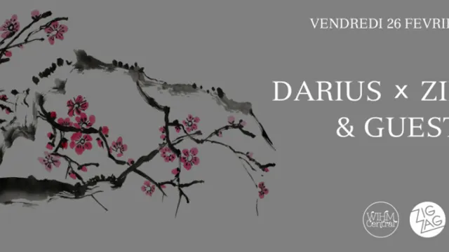 Darius & Zimmer