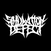 Simulation Defect