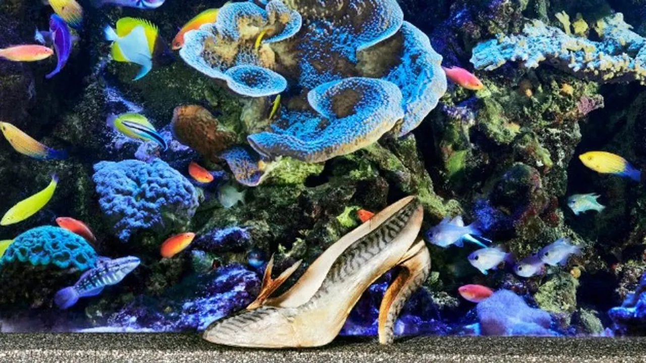 Christian Louboutin, l’exposition
