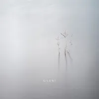 SVLBRD