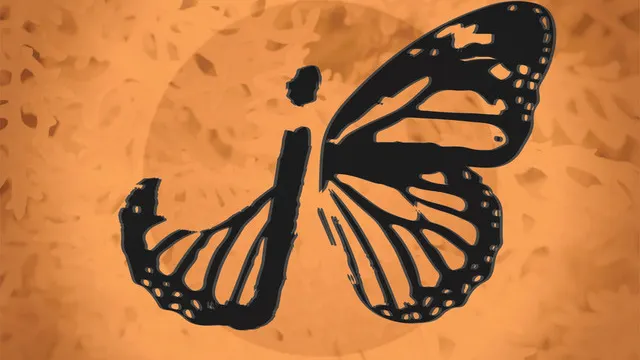 June Bug-tiger lion-fraser anderson