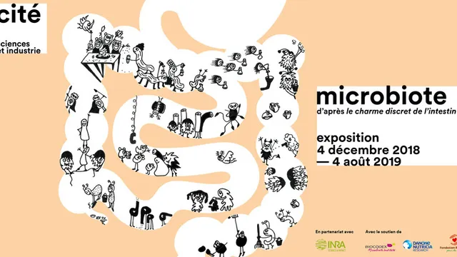 Microbiote, d'après « Le charme discret de l'intestin »