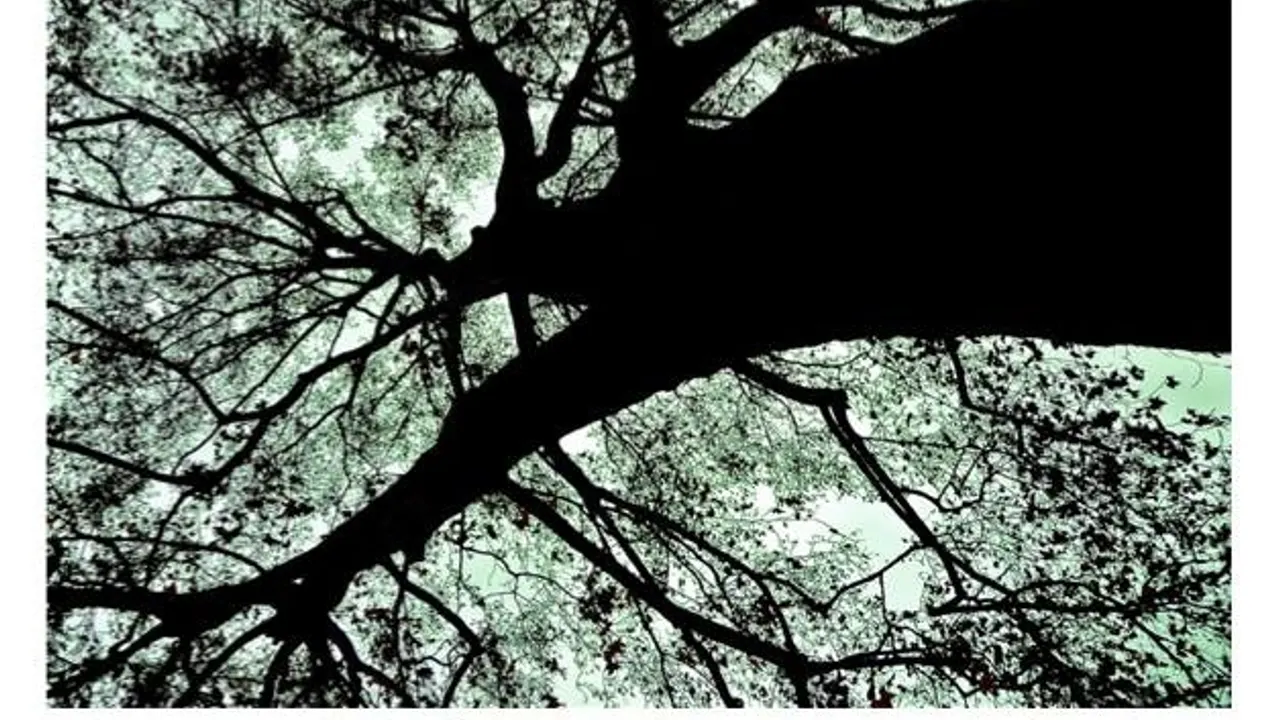 DEEPLY ROOTED W/DJ DEEP - TERENCE FIXMER - LEIF
