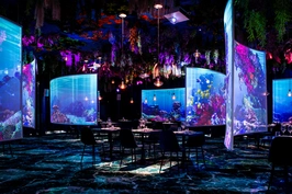 Under the sea