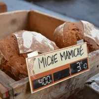 Mamiche