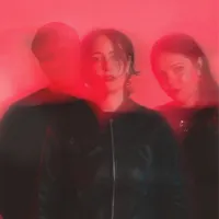 Womb