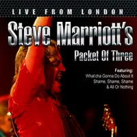 Steve Marriott