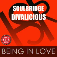 Soulbridge